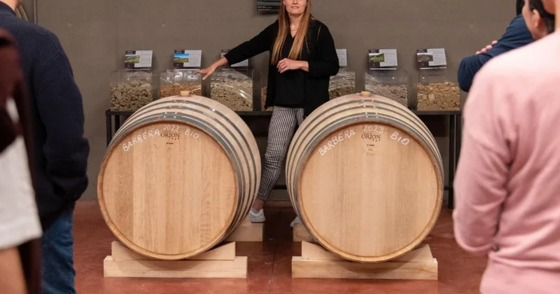 Visite d'un domaine dans les collines de Parme avec planche